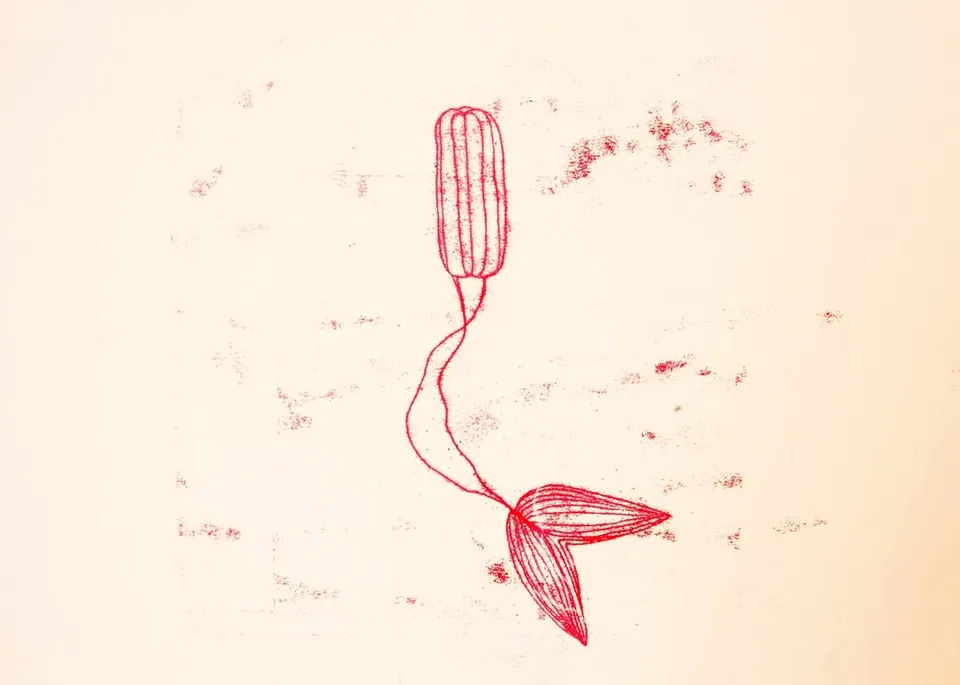 Desenho em papel pólen que mostra um absorvente interno com detalhes que o fazem parecer um peixe.